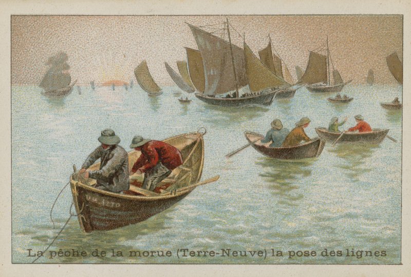 Kabeljaufischerei in Neufundland - Leinen legen von French School