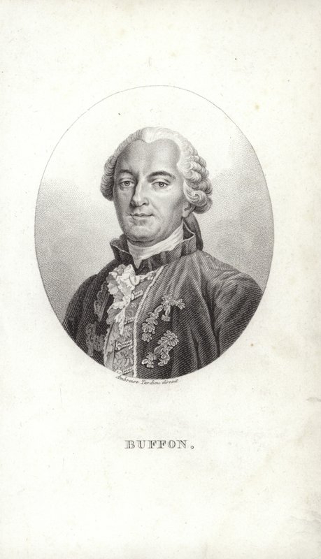 Georges-Louis Leclerc von French School