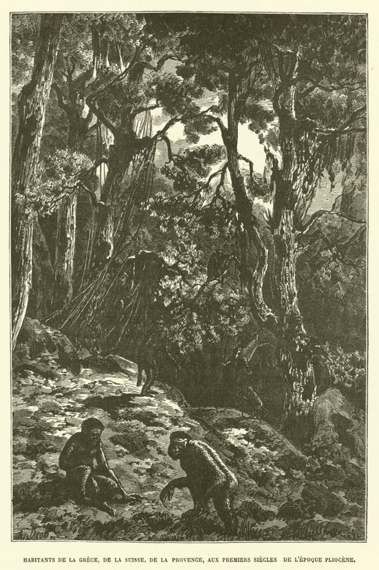 Bewohner von Griechenland, der Schweiz, der Provence in den ersten Jahrhunderten des Pliozäns (Gravur) von French School