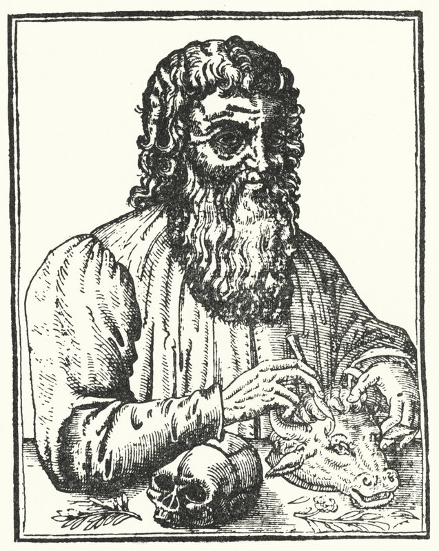 Hippokrates von Kos, Der Fürst der Ärzte von French School