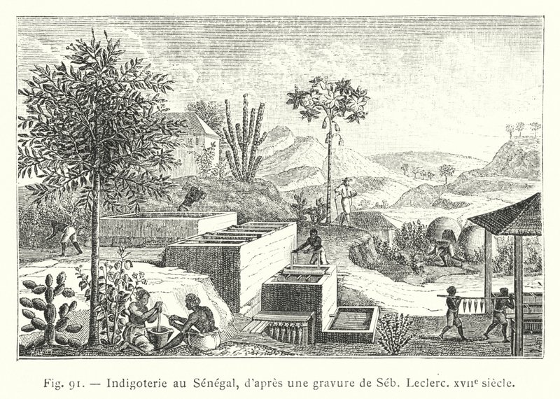 Indigoproduktion im Senegal, nach einem Stich von Seb. Leclerc, 17. Jahrhundert (Gravur) von French School