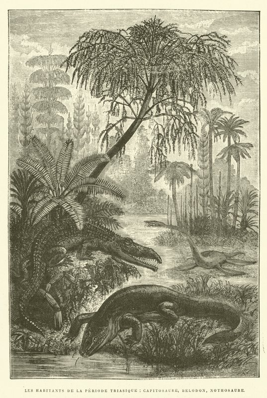 Die Bewohner der Triaszeit, Kapitosaurus, Belodon, Nothosaurus von French School