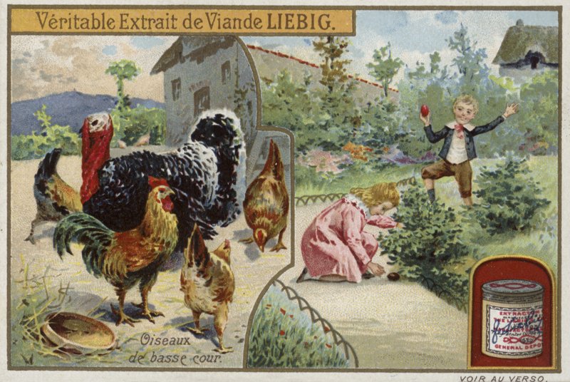 Liebig-Karte mit Geflügel von French School