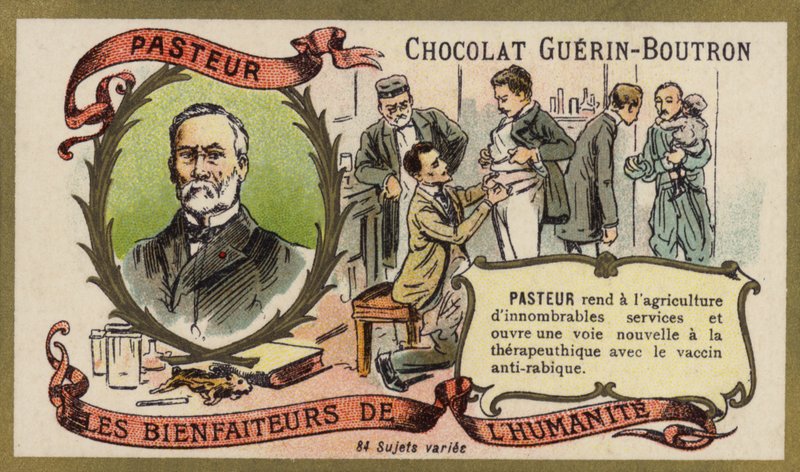 Louis Pasteur, französischer Chemiker und Mikrobiologe (Chromolithografie) von French School