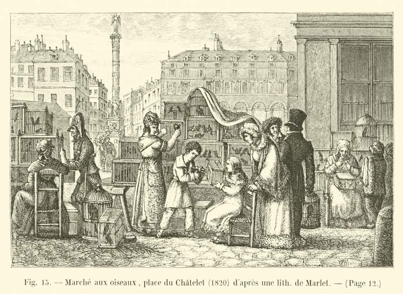 Vogelmarkt, Place du Châtelet, 1820, nach einer Lithographie von Marlet von French School