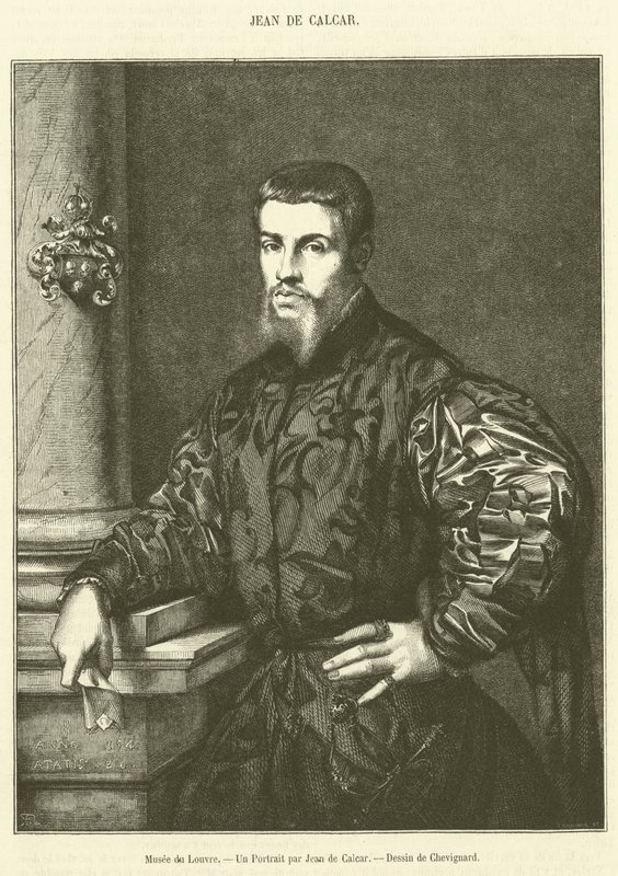 Musee du Louvre, Ein Porträt von Jean de Calcar (Stich) von French School