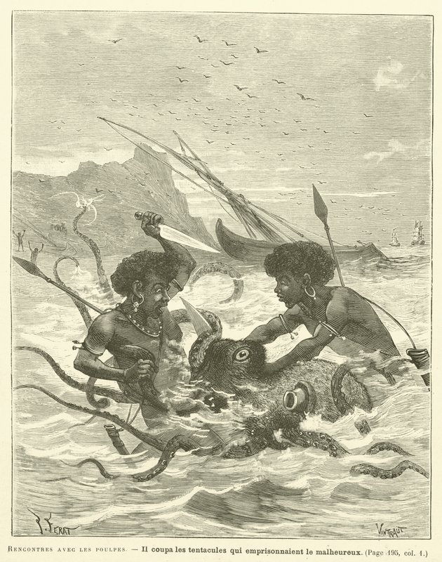 Begegnungen mit den Kraken von French School