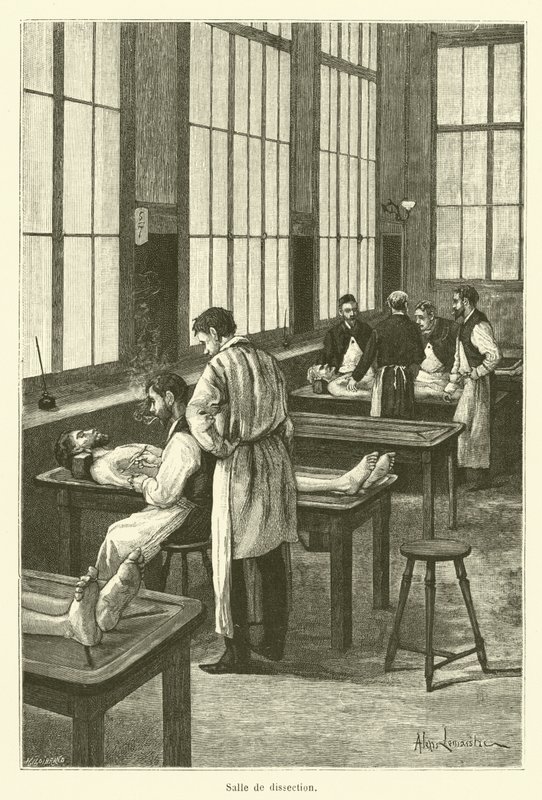 Seziersaal (Gravur) von French School