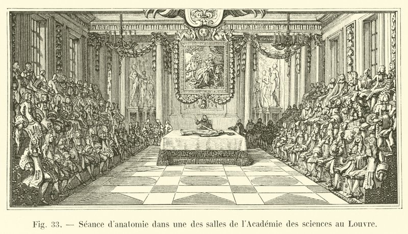 Anatomiesitzung in einem der Säle der Akademie der Wissenschaften im Louvre von French School