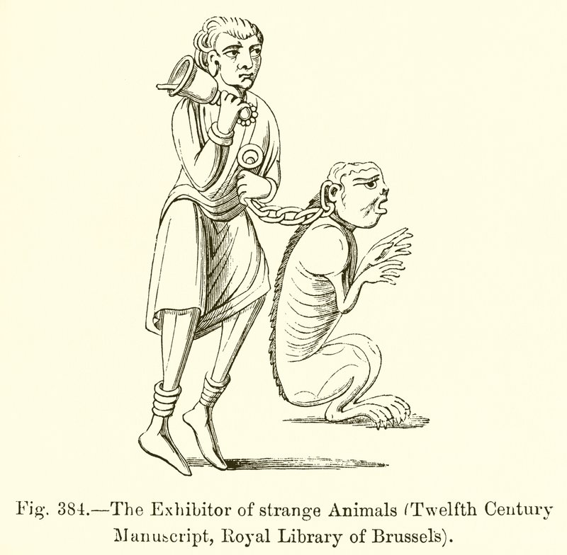 Der Aussteller seltsamer Tiere von French School
