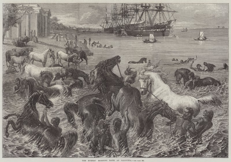 Das morgendliche Bad der Pferde in Kalkutta von Friedrich Wilhelm Keyl