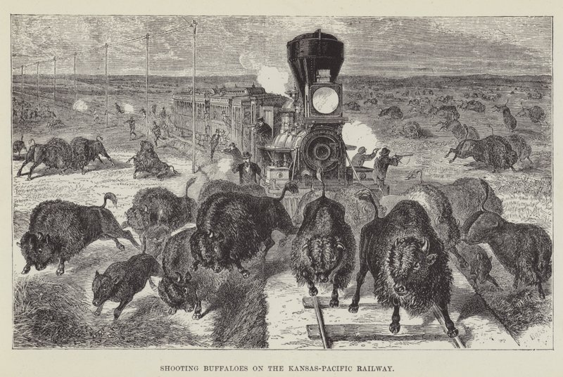 Büffeljagd an der Kansas-Pacific-Eisenbahn von George Augustus Sala