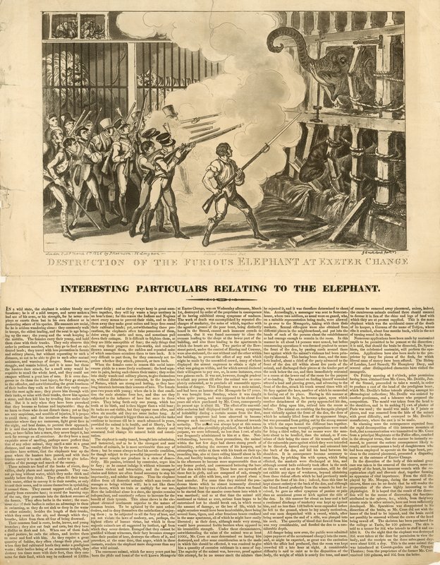 Zerstörung des wütenden Elefanten bei Exeter Change von George Cruikshank