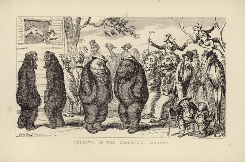 Mitglieder der Zoologischen Gesellschaft von George Cruikshank