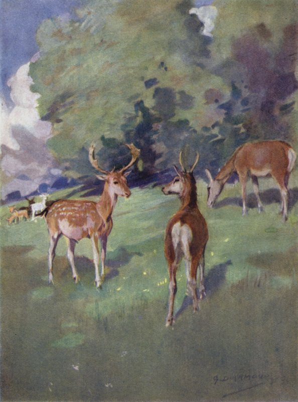 Illustration für 