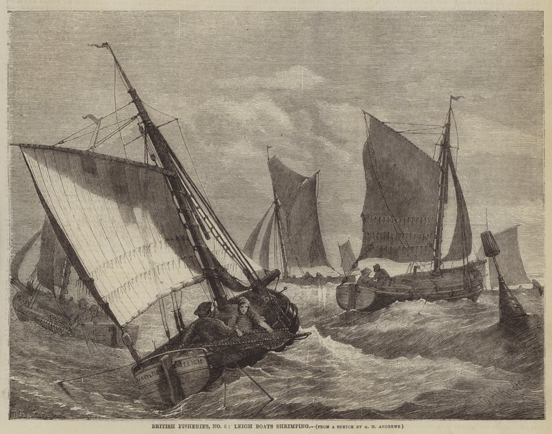 Britische Fischereien, Nr. 6, Leigh-Boote beim Garnelenfang von George Henry Andrews