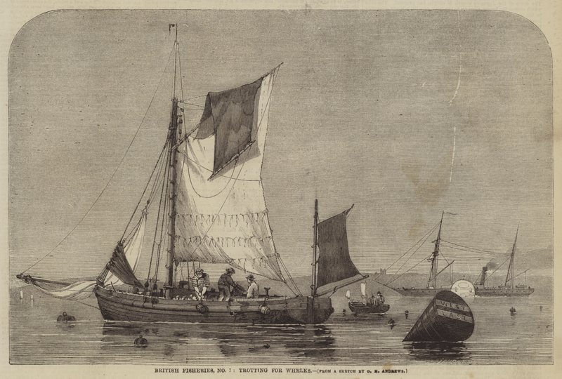 Britische Fischereien, Nr. 7, Whelks fangen von George Henry Andrews
