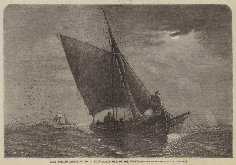 Die britischen Fischereien, Nr. 3, Stow-Boote beim Spratfischen von George Henry Andrews