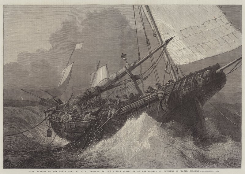 Die Ernte der Nordsee von George Henry Andrews