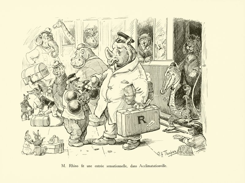 M Rhino machte einen sensationellen Auftritt in Acclimatationville von George Henry Thompson