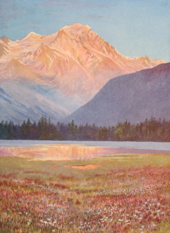 Abend unter den Feldern von rosa Bistort am Lac Champex; Sonnenuntergangsglühen auf dem Grand Combin, Juli von George Jackson Flemwell