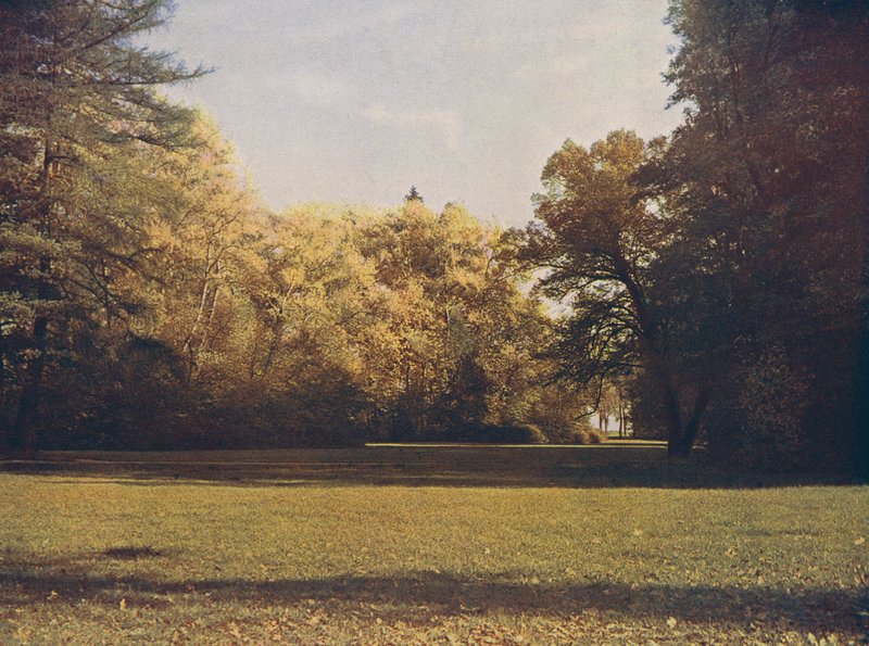Herbstfarben in Donaueschingen, Schwarzwald, Deutschland von German Photographer