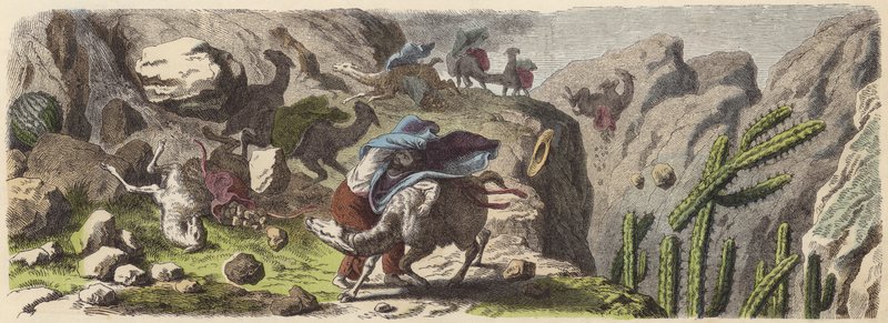 Eine Lama-Karawane, die Erz transportiert, wird in einem Sturm in den Anden gefangen (kolorierte Gravur) von German School