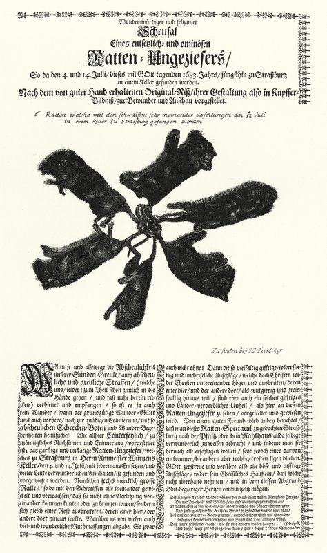 Riesige Ratten, die 1683 in Straßburg gefangen wurden von German School
