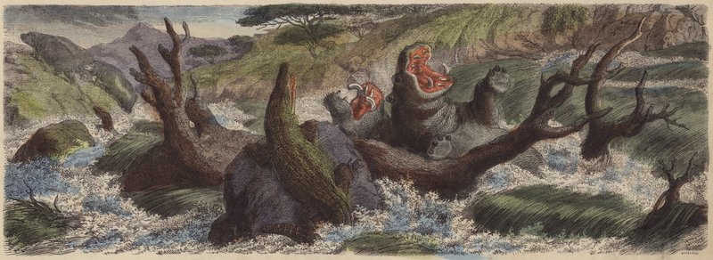 Bergbach in Nordostafrika während der Regenzeit (kolorierte Gravur) von German School