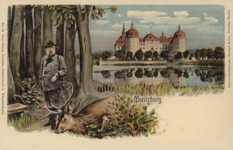 Postkarte mit einem Mann und einem erlegten Hirsch vor dem Schloss Moritzburg von German School