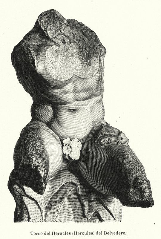 Der Belvedere Torso, römische Skulptur, traditionell als Darstellung des Herkules angesehen von German School