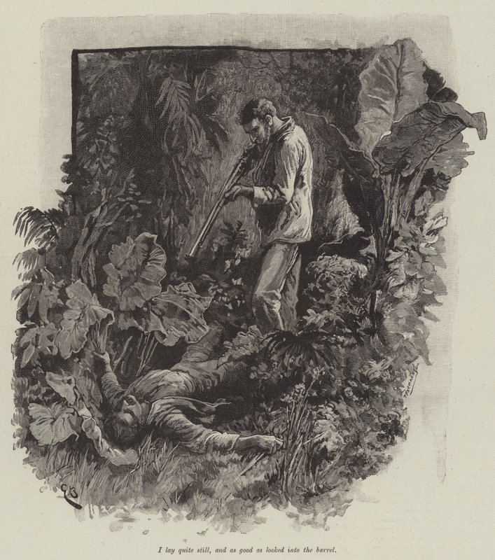 Uma, oder der Strand von Falesa, von Robert Louis Stevenson von Gordon Frederick Browne