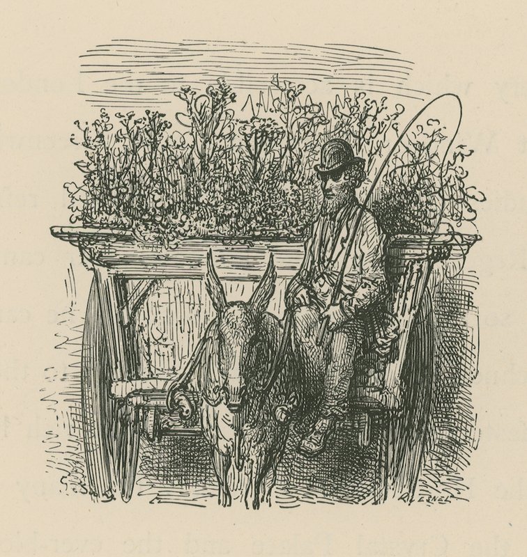 Ein Mann, der einen mit Pflanzen und Blumen beladenen Wagen fährt von Gustave Dore