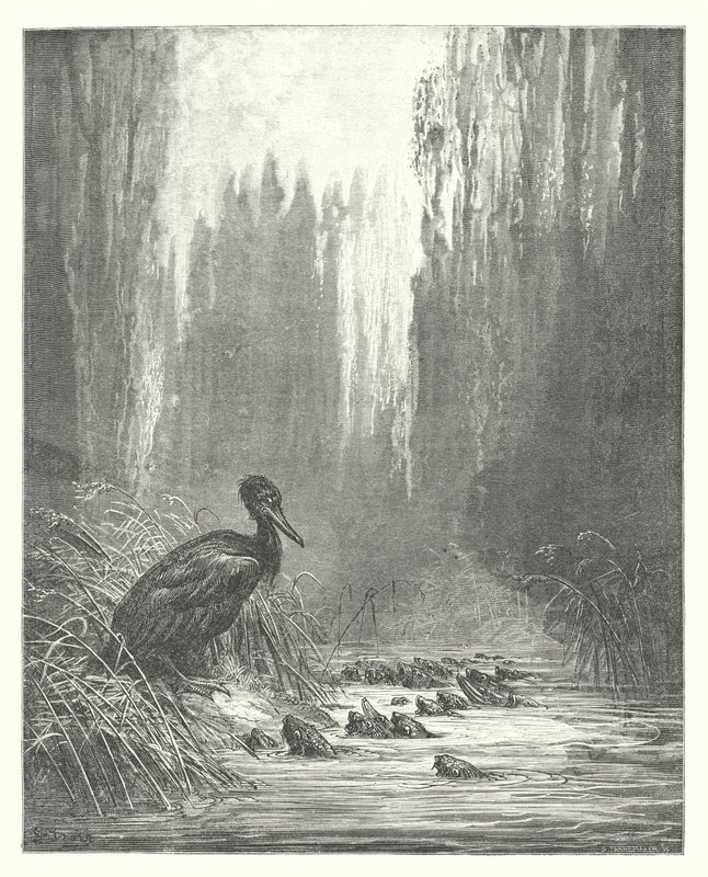 Die Fabeln von La Fontaine: Der Kormoran und die Fische von Gustave Dore