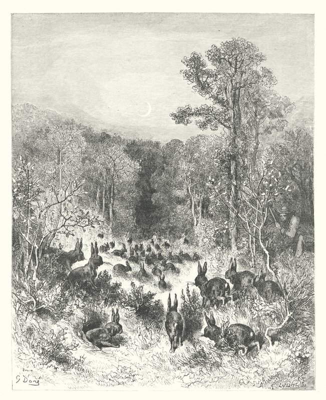 Die Fabeln von La Fontaine: Die Kaninchen von Gustave Dore