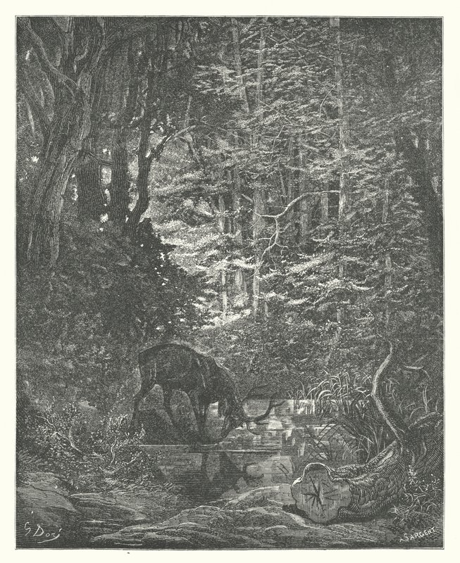 Die Fabeln von La Fontaine: Der Hirsch betrachtet sich im Bach von Gustave Dore