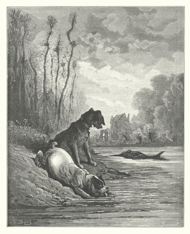 Die Fabeln von La Fontaine: Die zwei Hunde und der tote Esel (Gravur) von Gustave Dore