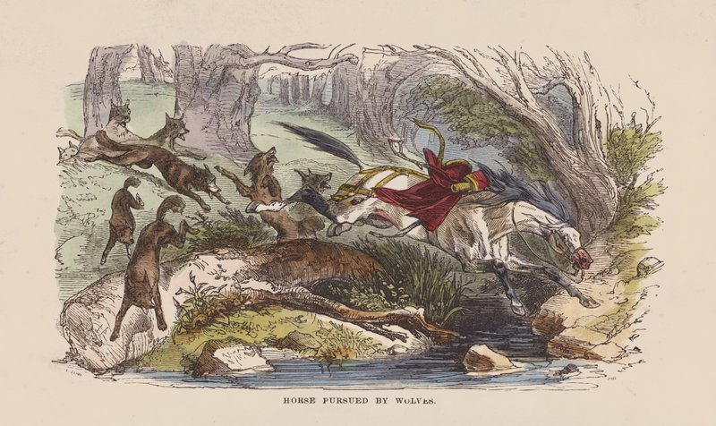Pferd von Wölfen verfolgt von after Hablot Knight Browne