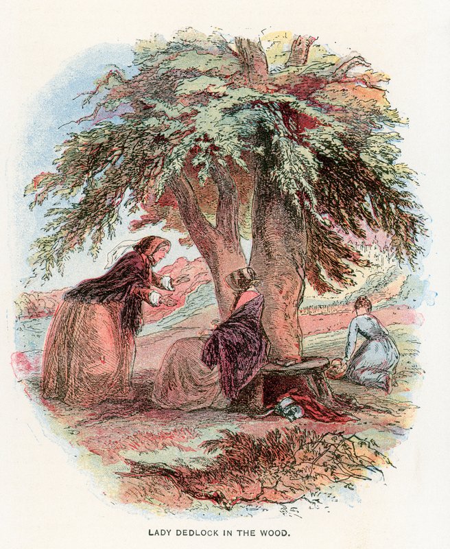 Illustration für Bleak House von Hablot Knight Browne
