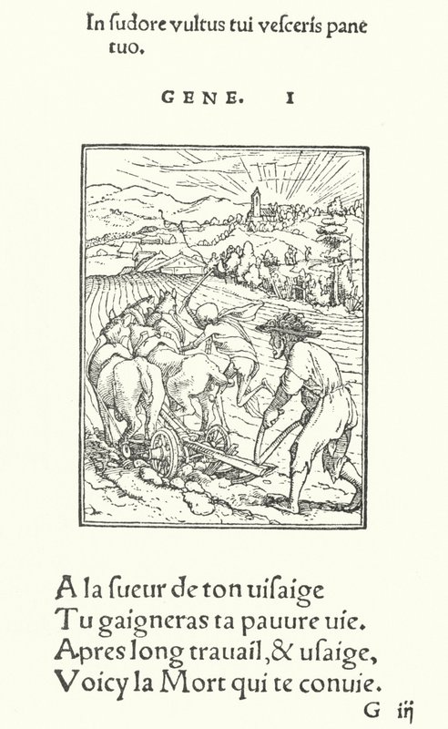 Der Pflüger oder Bauer (Gravur) von Hans (after) Holbein the Younger