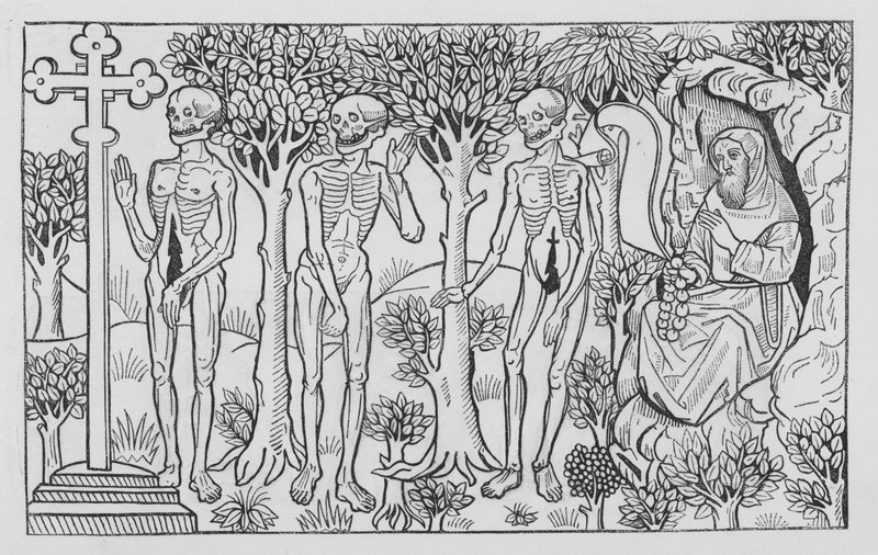 Holbeins Totentanz von Hans Holbein der Jüngere