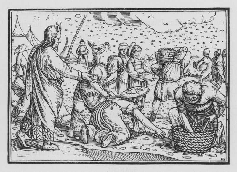 Die Israeliten murren wegen Brot, Exodus XVI, 4 von Hans after Holbein the Younger
