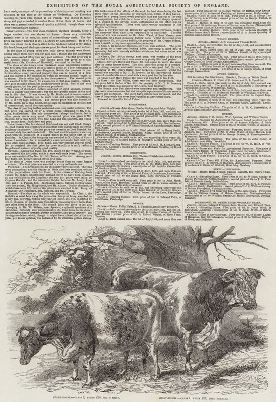 Ausstellung der Royal Agricultural Society of England von Harrison William Weir