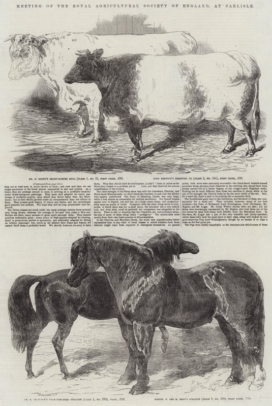 Treffen der Royal Agricultural Society of England in Carlisle von Harrison William Weir