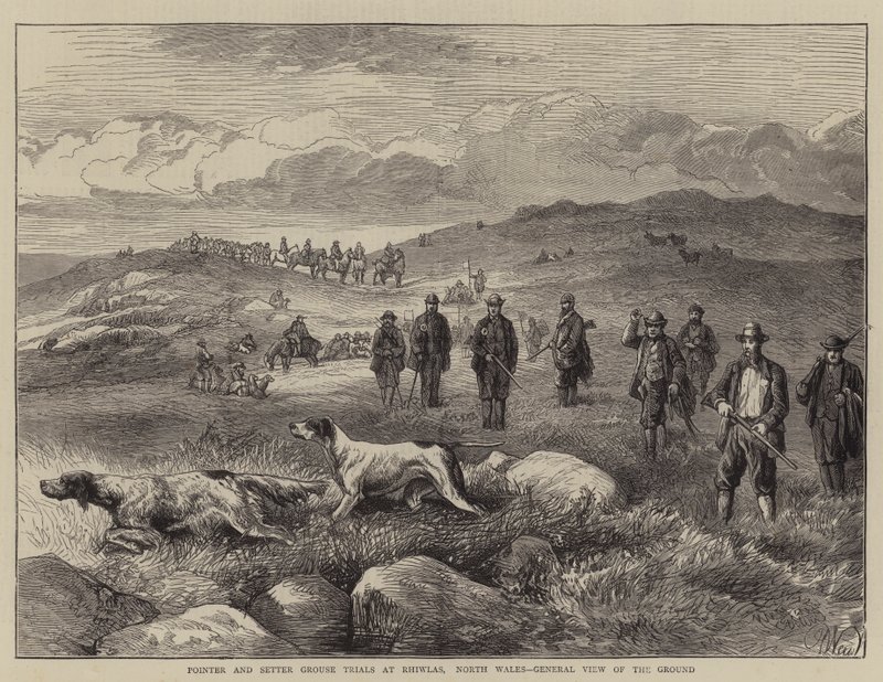 Pointer und Setter Grouse Trials in Rhiwlas, Nordwales, Gesamtansicht des Geländes von Harrison William Weir