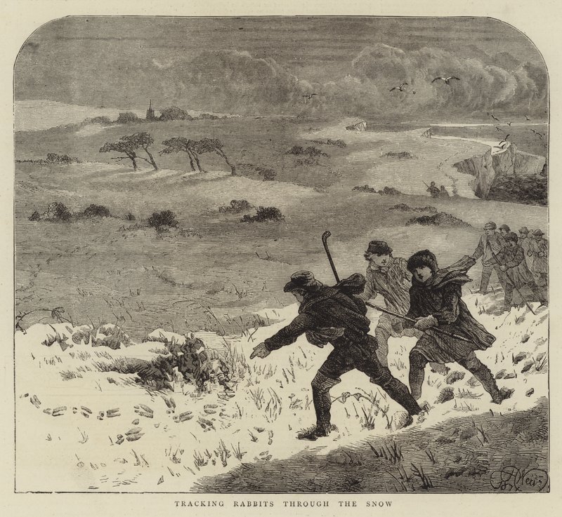Verfolgung von Kaninchen durch den Schnee von Harrison William Weir