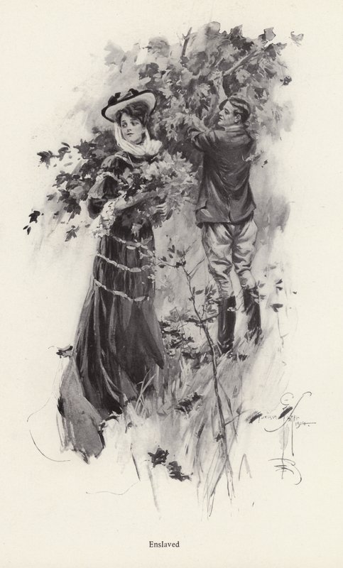 Frau pflückt Blumen mit einem männlichen Bewunderer von Harrison Fisher