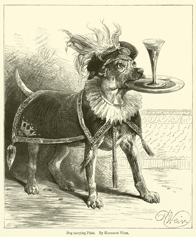 Hund trägt Teller von Harrison William Weir