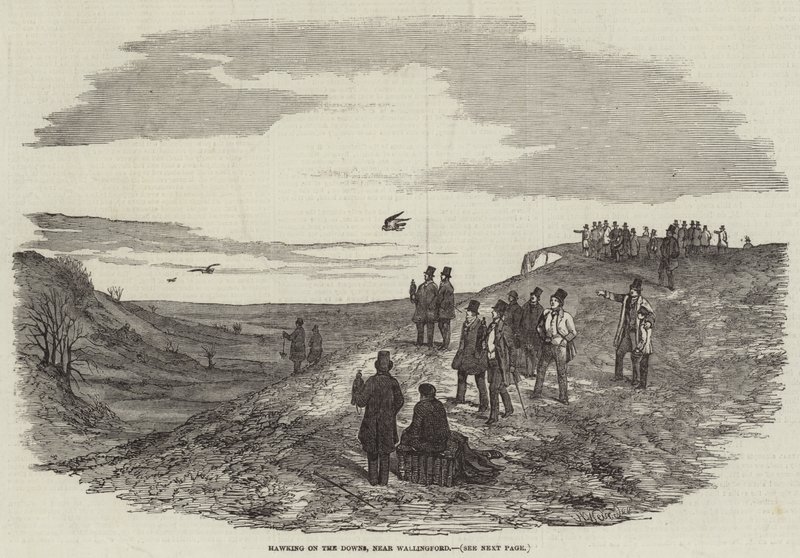 Falknerei auf den Downs, in der Nähe von Wallingford von Harrison William Weir