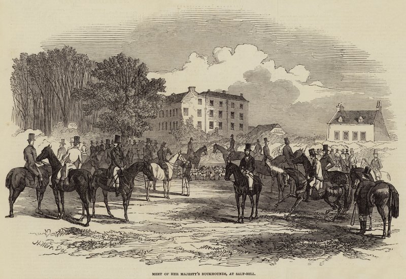 Treffen der königlichen Jagdhunde Ihrer Majestät in Salt-Hill von Harrison William Weir